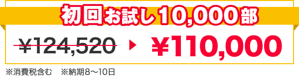 初回お試し10,000部 ¥113,200→¥100,000