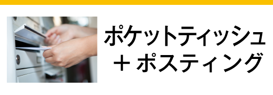 ポケットティッシュ+ポスティング